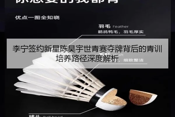 李宁签约新星陈昊宇世青赛夺牌背后的青训培养路径深度解析